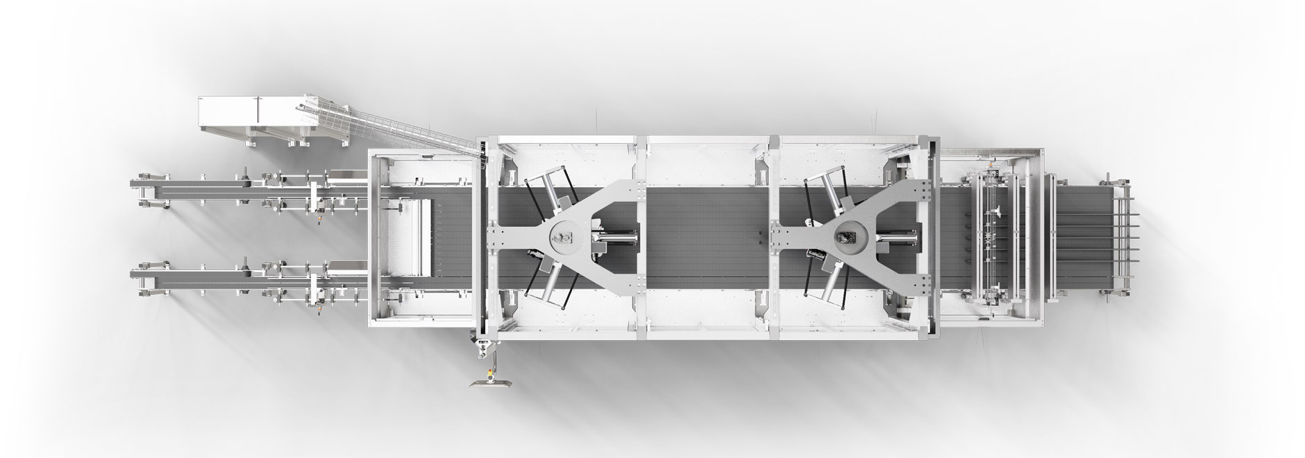 Functional characteristics